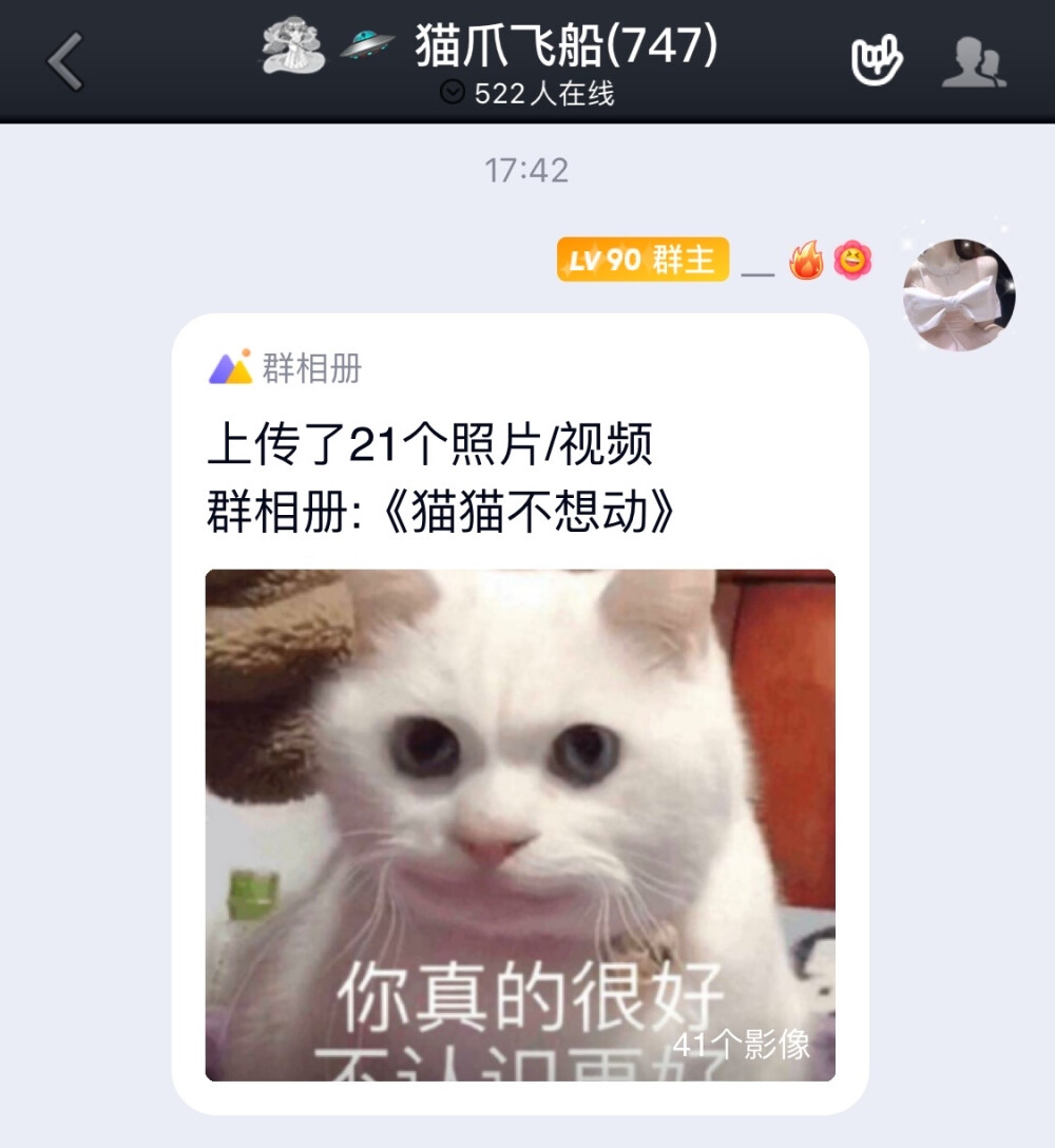 猫猫静态表情