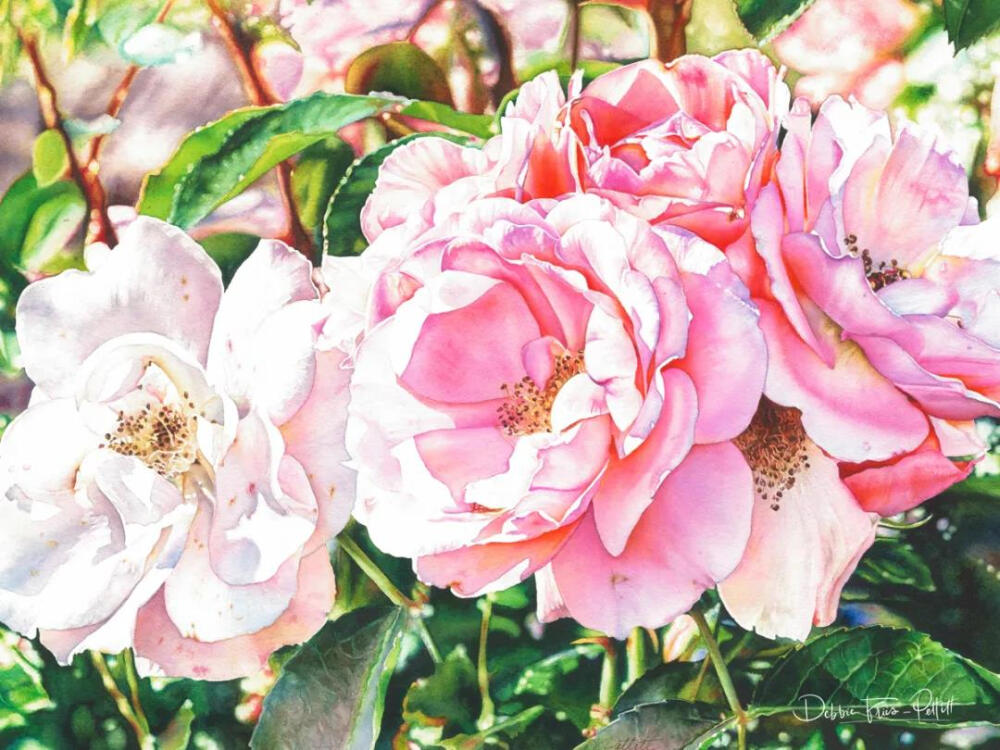 画师：Marney Ward