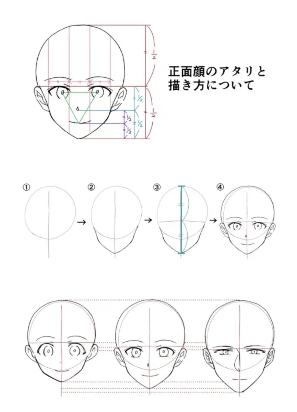 如何画完美的人脸