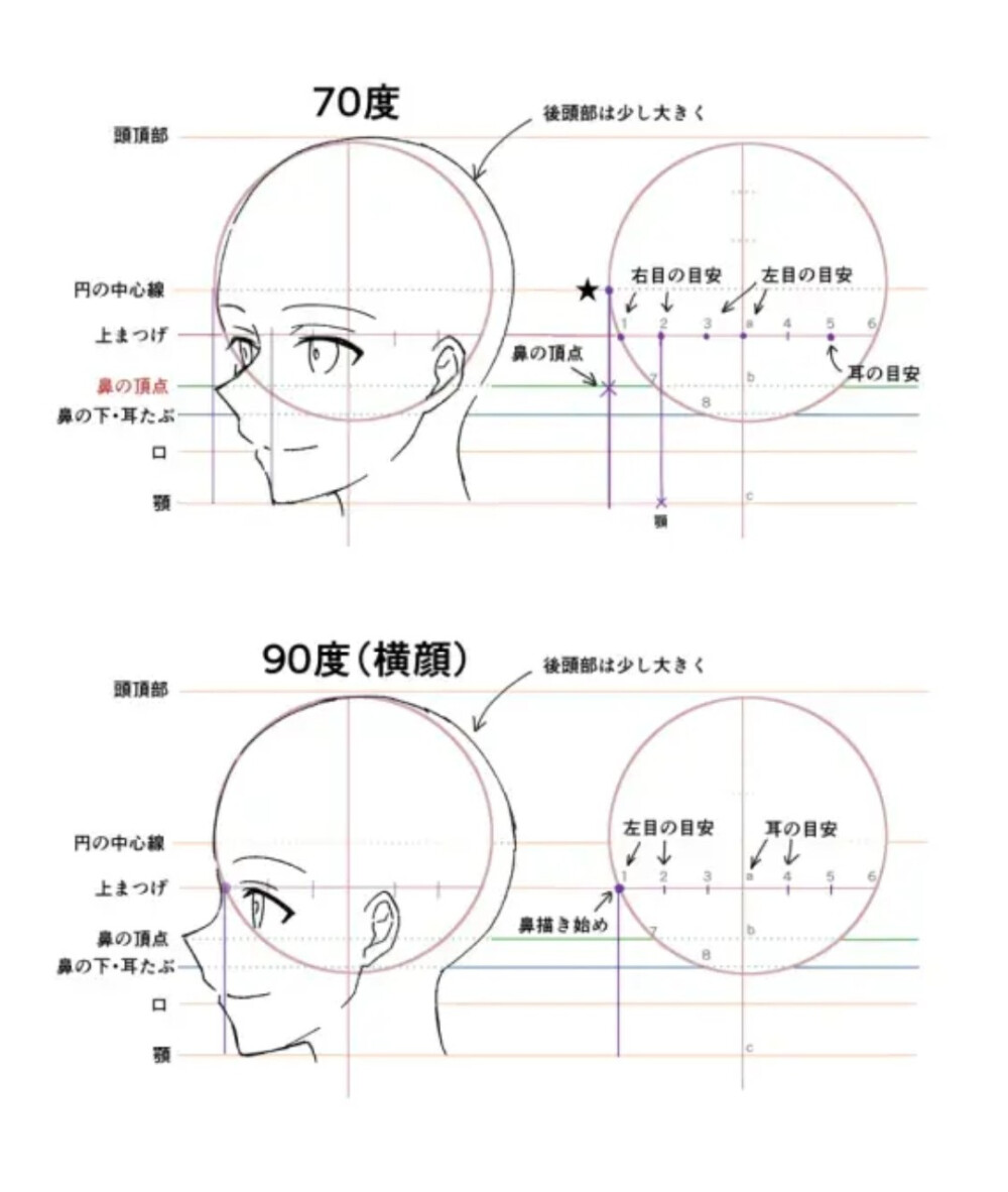 如何画完美的人脸