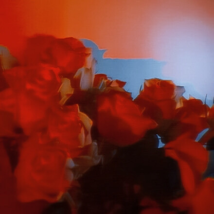 What are you running for?