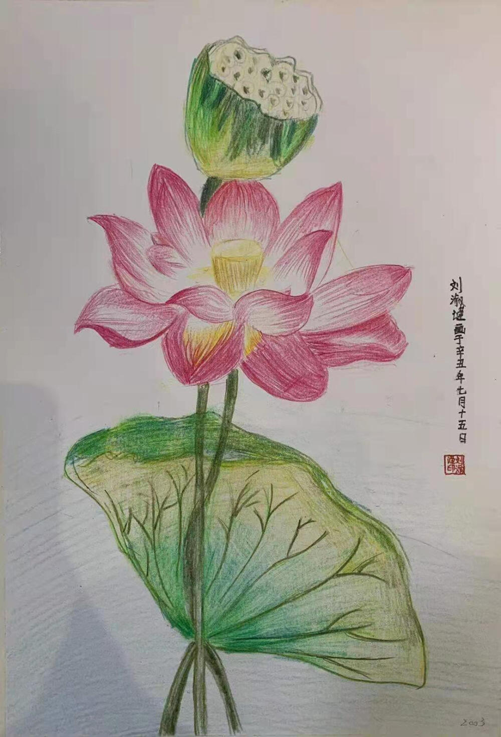 艺彩时光 《彩色铅笔荷花》