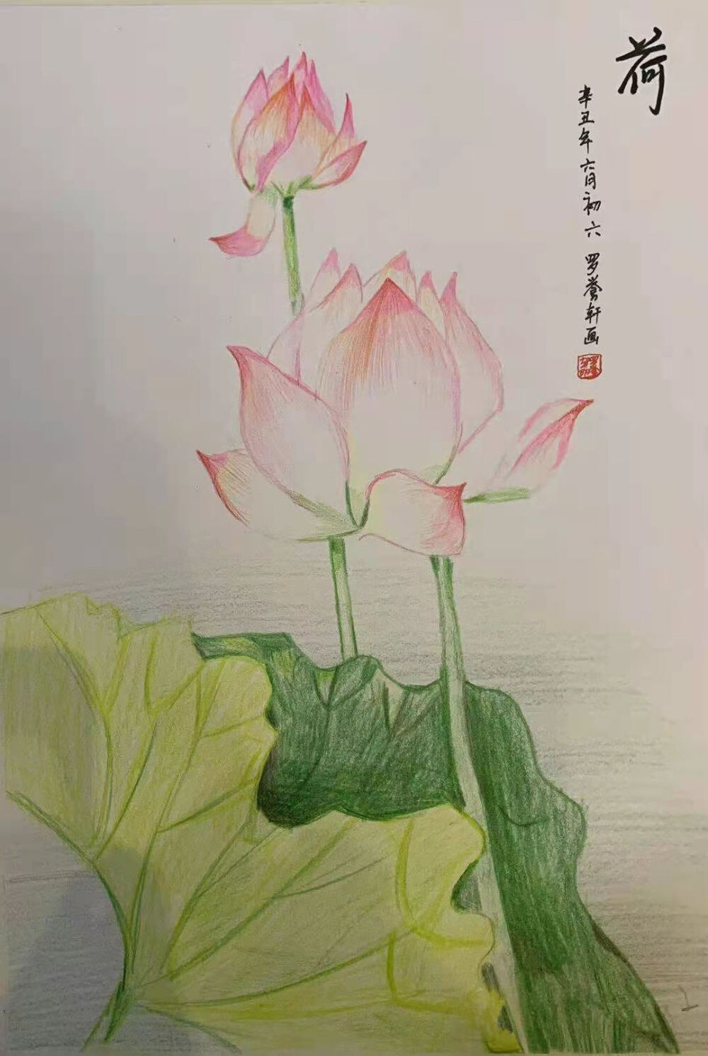 艺彩时光 《彩色铅笔荷花》