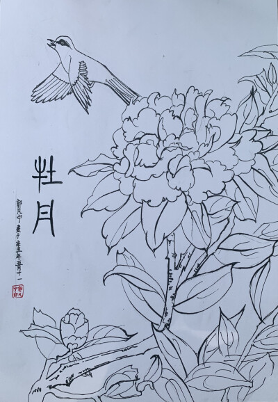 艺彩时光 《彩色铅笔荷花》