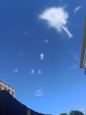 食货的杂七杂八