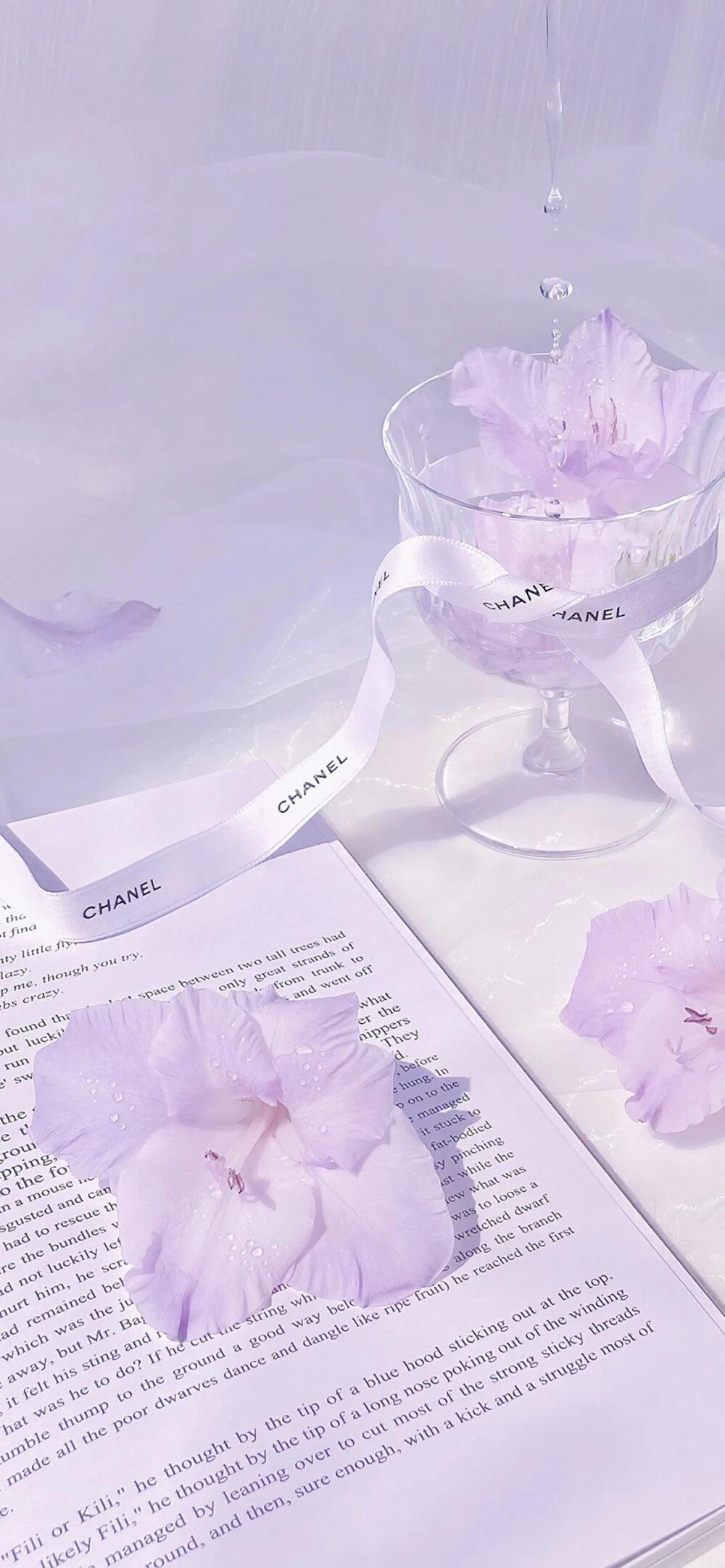 高质量手机壁纸