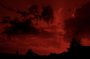     “看清楚了，这是我的人。”