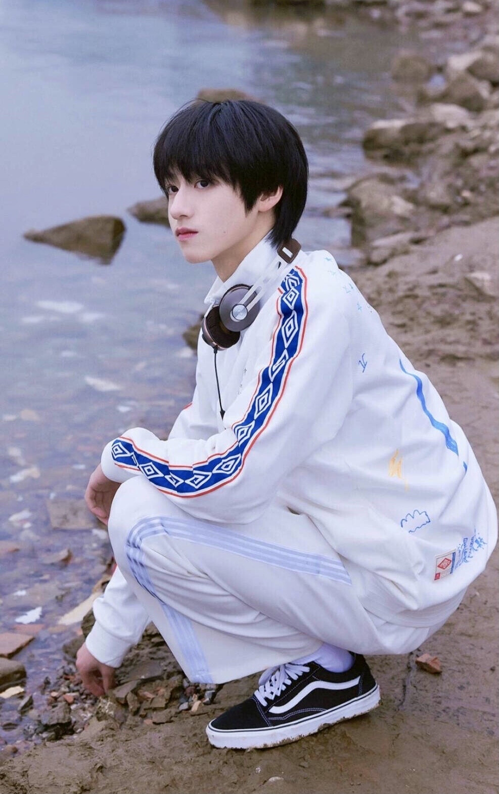 tf家族