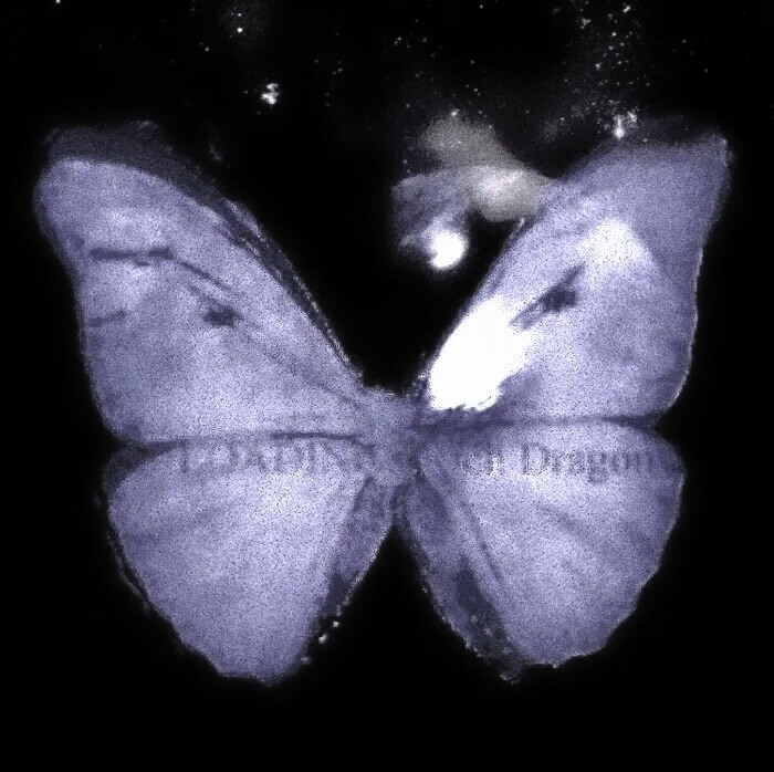 Irene* Roter Schmetterling(… - 高清图片,堆糖,美图壁纸兴趣社区 Irene* Roter Schmetterling(… - 高清图片,堆糖,美图壁纸兴趣社区