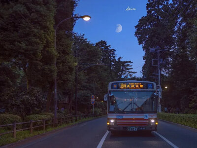 电脑壁纸 平板壁纸 风景