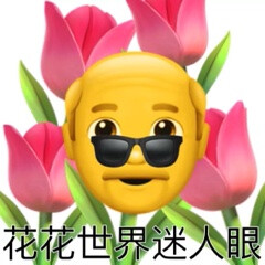 表情包