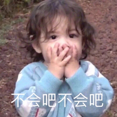 表情包 孤寡 我要开始叫了