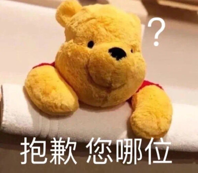 表情包 孤寡 我要开始叫了