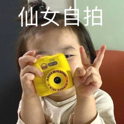 表情包 孤寡 我要开始叫了