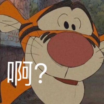 表情包 孤寡 我要开始叫了