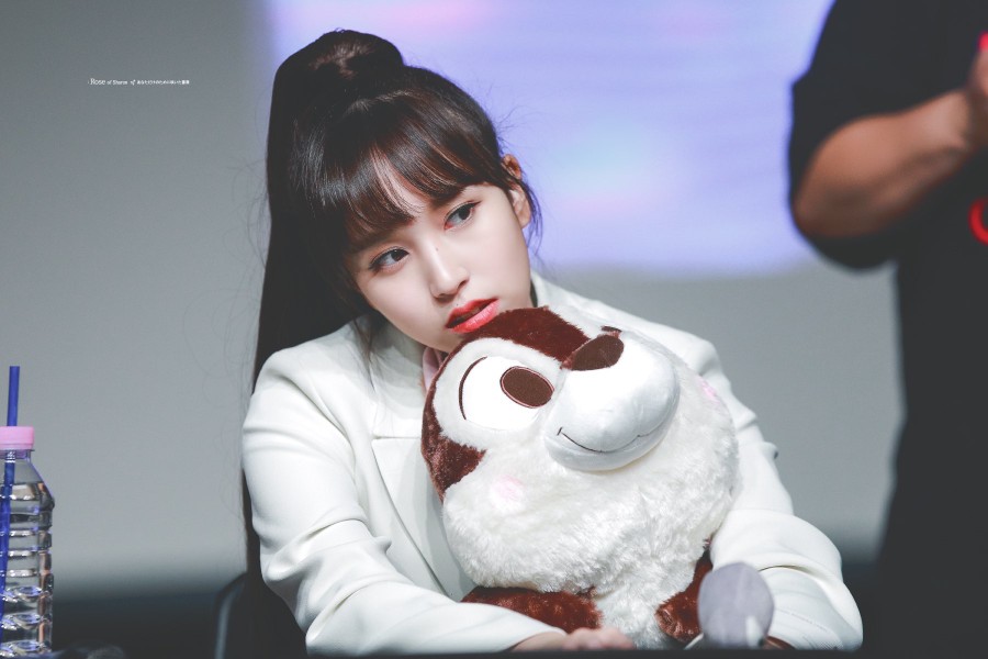 名井南
注明roseOfsharon324，不标别改