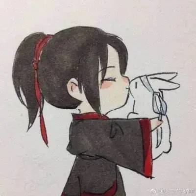 魔道祖师 魏无羡蓝忘机