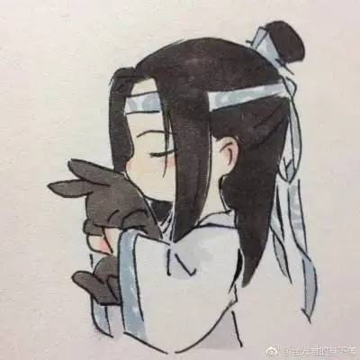 魔道祖师 魏无羡蓝忘机