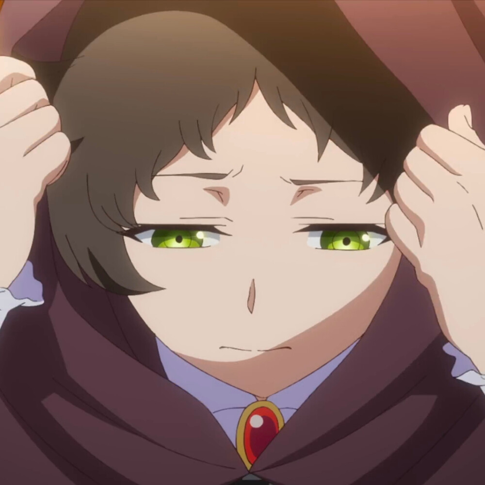 瓦尼塔斯的手记