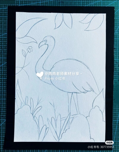 线条画手稿《火烈鸟》