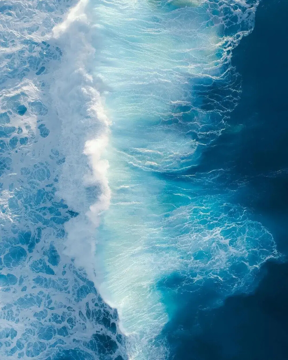 Sea