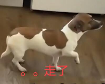 表情包
猹