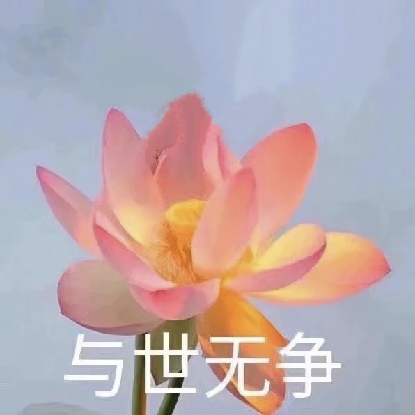 莲花