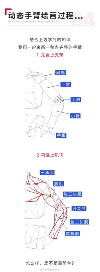 人体解剖图手臂绘画教程几何图案