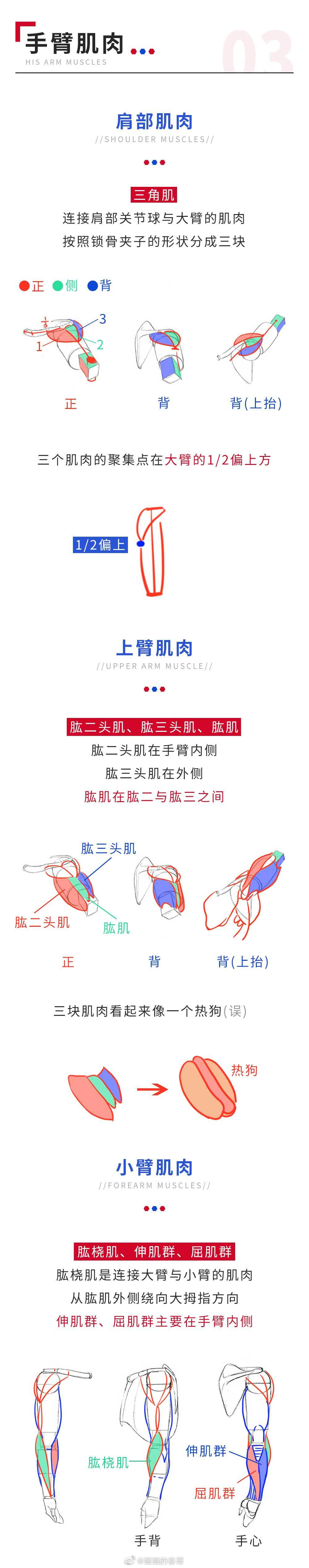 人体解剖图手臂绘画教程几何图案