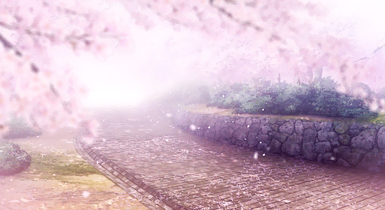 540_295gif 动态图 动图