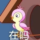 七夕布谷(不孤)鸟（图源网络）