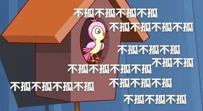 七夕布谷(不孤)鸟（图源网络）