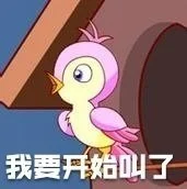 七夕布谷(不孤)鸟（图源网络）