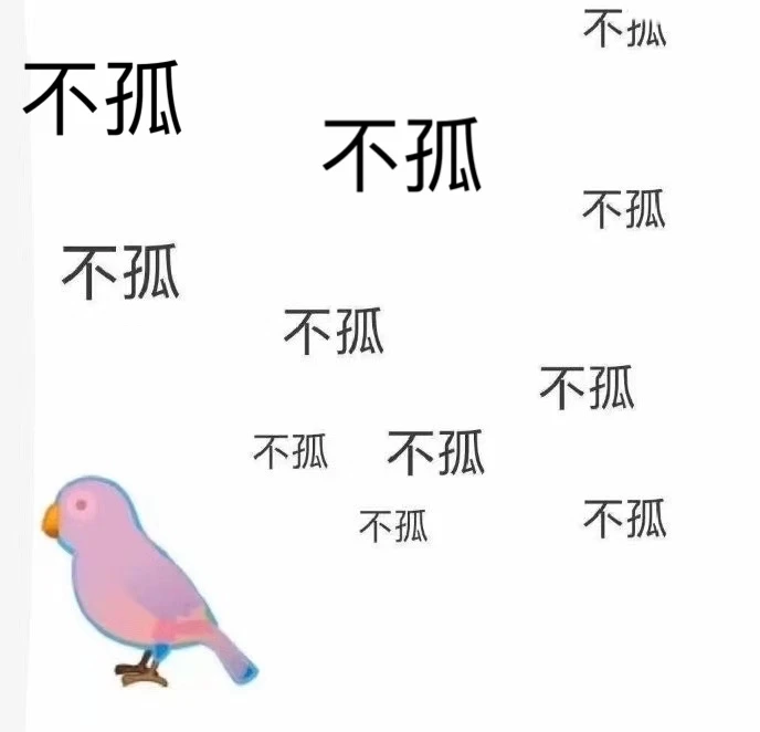 七夕布谷(不孤)鸟（图源网络）