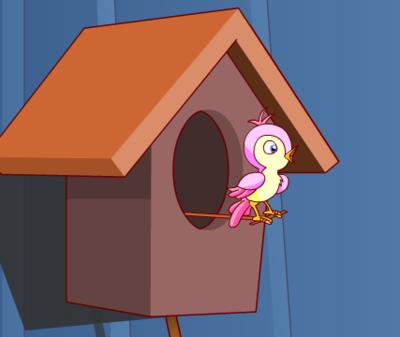 七夕布谷(不孤)鸟（图源网络）