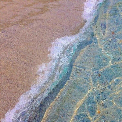 海