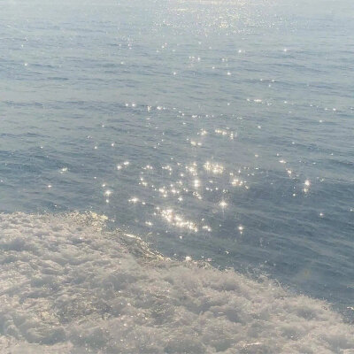 海