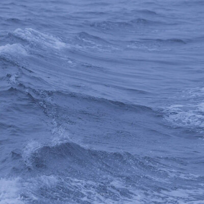 海