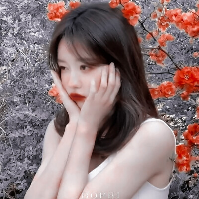 //Yooa
-Burgundy Red*勃艮第红