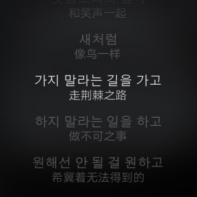 像鳥一樣 走荊棘之路 做不可之事/Outro:Wings