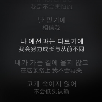 像鳥一樣 走荊棘之路 做不可之事/Outro:Wings