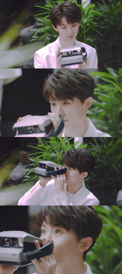 时代少年团夏日绿色系壁纸