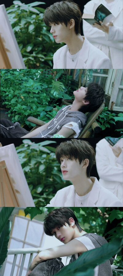 时代少年团夏日绿色系壁纸