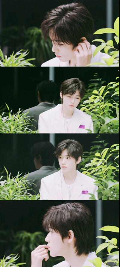 时代少年团夏日绿色系壁纸