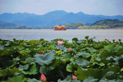 西湖一景