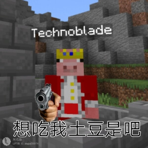 发个表情包(作者见下水印)
[我的世界] Technoblade