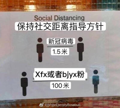 球球了，糊吧