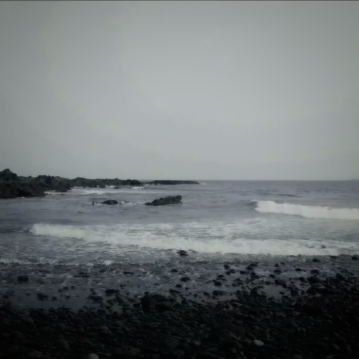 聲色犬馬 /Vanity Fair