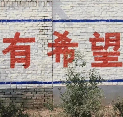 中华