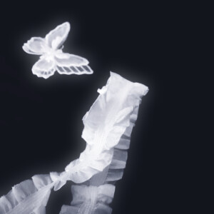 
                   山前既相见 山后终相逢
